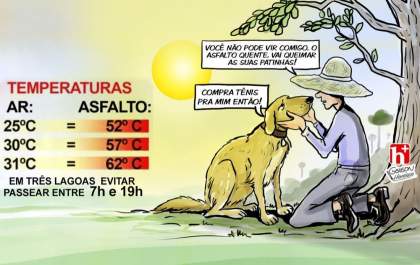 Calor do cão