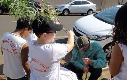 Alunos do Álvaro Guião participam do piloto de floresta urbana do Governo de Andradina