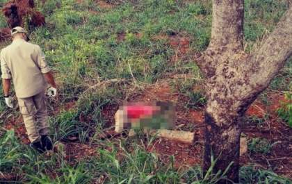 Corpo de homem é encontrado às margens da rodovia