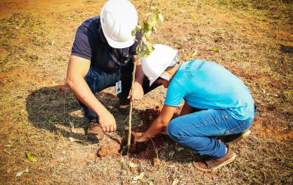 Águas Castilho realiza plantio em comemoração ao Dia da Árvore