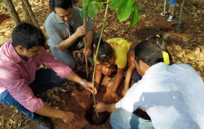 Alunos de escolas municipais de Selvíria participam de plantio de mudas às margens do rio Paraná