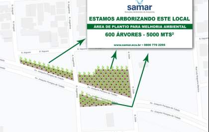 Corrida/Caminhada pela Sustentabilidade abre Semana da Árvore