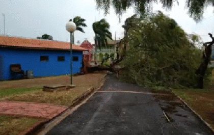 Chuva acompanhada de ventania causa estragos em cidades da região