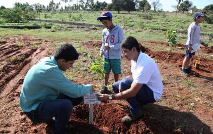Águas Andradina dá continuidade ao projeto Crescendo Juntos em comemoração ao Dia da Árvore