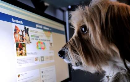 `Rolo canino` em rede social vai parar na Justiça