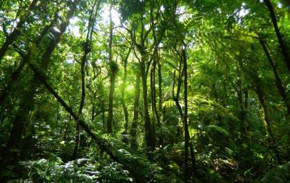 Unesp promove palestra sobre saúde pelo ponto de vista indígena