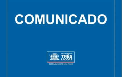 Saiba o que fazer caso encontre um animal de pequeno porte morto na cidade