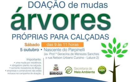 Sábado tem doação de mudas de árvore para área urbana