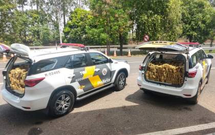 Três são presos acusados de transportar 485 quilos de maconha