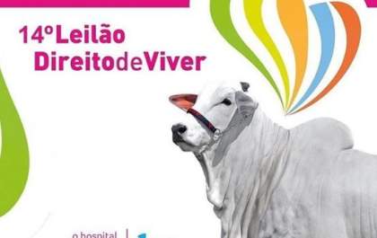 Leilão Direito de Viver em sua 14ª edição