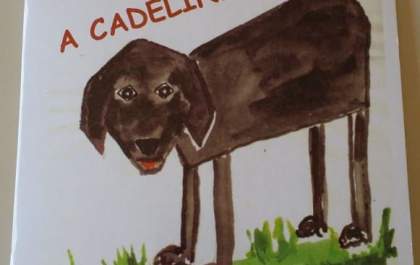 Araçatubense lança livro nesta próxima sexta-feira