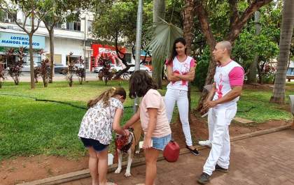 'Outubro Rosa Pet' atende cadelas e gatas gratuitamente neste sábado