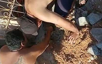 Moradores quebram calçada para salvar gatinhos
