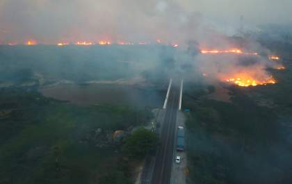 Queimadas já destruíram 50 mil hectares no Pantanal