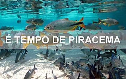 Período da piracema tem início em 1º de novembro e traz restrições à pesca