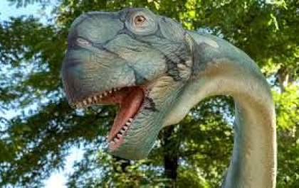Vértebra de dinossauro gigante é encontrada no Noroeste Paulista