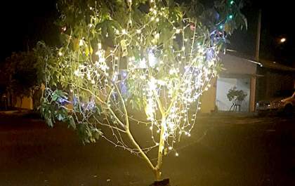 Buraco na rua ganha árvore de Natal iluminada
