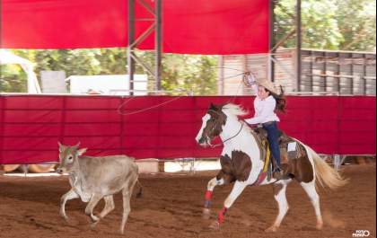 Nacional e Potro do Futuro ABCPaint trazem atrações gratuitas para o feriado prolongado em Araçatuba