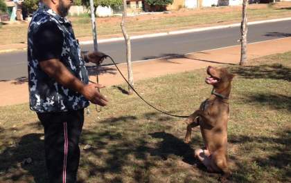 Comportamento Canino é tema de palestra gratuita em Três Lagoas