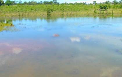 Corpo é encontrado boiando em lago as margens da BR-267
