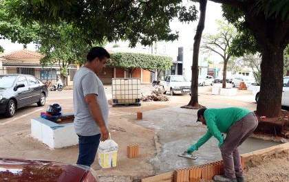 Canteiros centrais de avenidas de Três Lagoas passam por revitalização