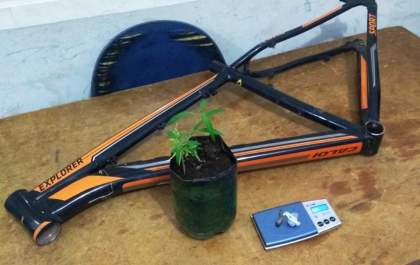 Odor chama a atenção e polícia descobre que suspeito cultivava maconha