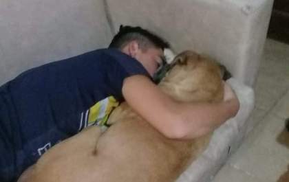 Cachorro morre nos braços do dono com medo de fogos de artifício