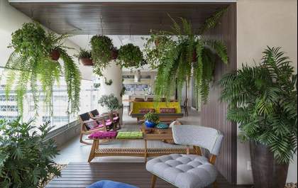 Plantas na decoração: 6 espécies para cultivar dentro de casa