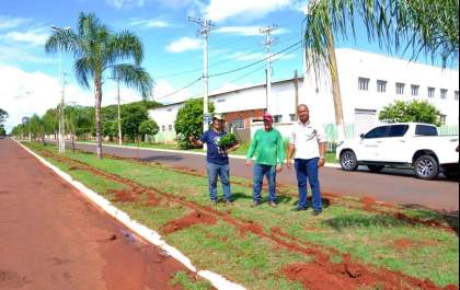Segunda etapa do projeto “Minha Árvore”, plantará 2.500 mudas