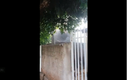 Mulher põe fogo na própria casa com filho de oito anos