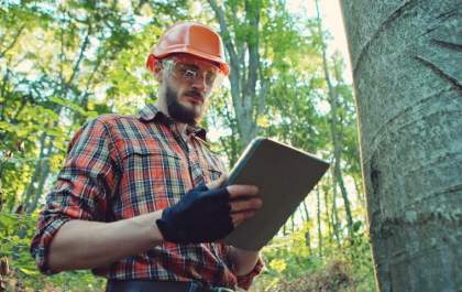 MBA em Gestão Florestal você encontra na Focus Desenvolvimento Organizacional
