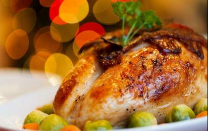 Aves típicas de Natal têm alta de 5% em dezembro, aponta levantamento da Apas