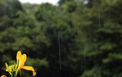 Verão chega trazendo chuva para Três Lagoas