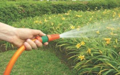 Aposentado morre depois de cair enquanto regava plantas