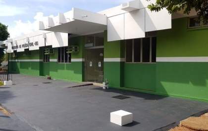 Tempestade derruba poste de energia em propriedade rural e mata 18 vacas prenhas em MS