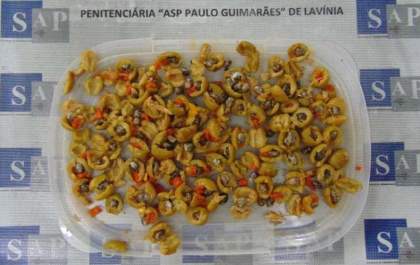 Azeitonas recheadas de maconha são encontradas em macarronada