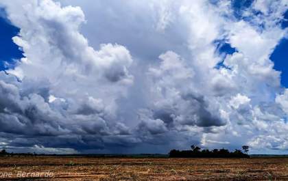 Máxima de 34°C e pancadas de chuva para o Estado