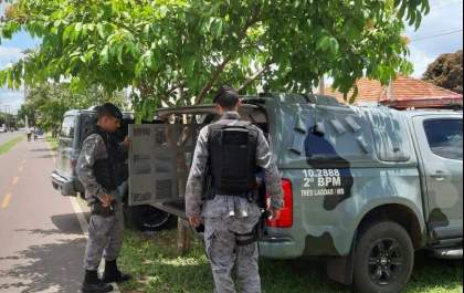 Com ajuda de cão farejador, PM apreende droga em Três Lagoas