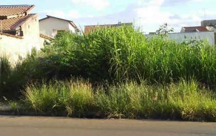 Prefeitura de Nova Independência notifica donos de terrenos baldios