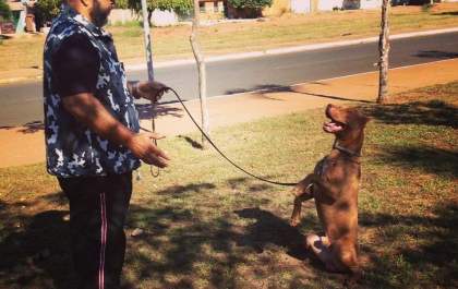 Adestrador de cães Diogo Abel explica os mitos e verdades sobre a raça PitBull