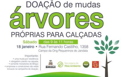 Birigui terá distribuição de árvores para calçadas neste sábado
