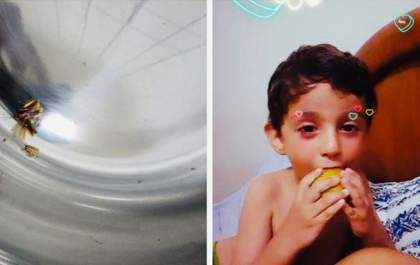 Besouro entra no ouvido de criança de 4 anos