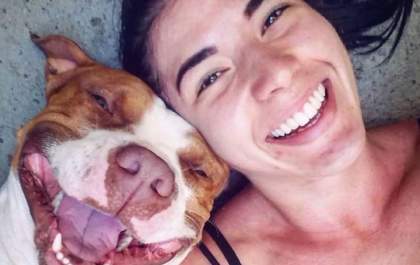 Sansão, o pit-bull sorridente que está conquistando as redes sociais