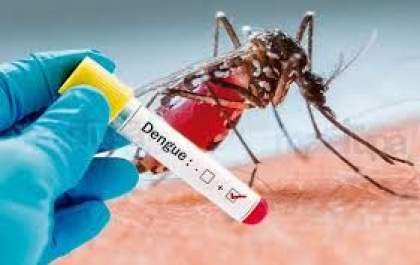 Mulher de 52 anos é a sexta vítima de Dengue em MS