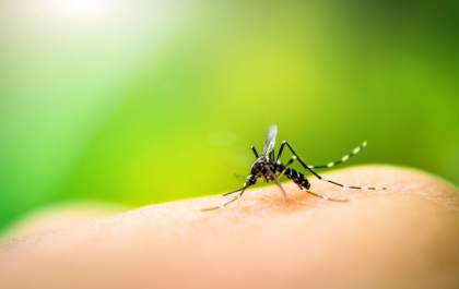 Comitê de Combate à Dengue se reúne e define ações para o ano