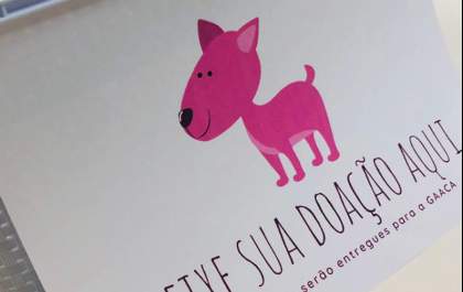 ONG de Araçatuba arrecada donativos para animais carentes