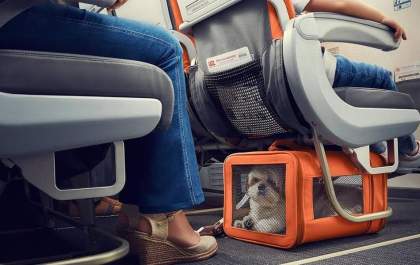 Como prevenir trombose venosa profunda (TVP) durante viagens de avião?