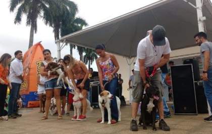 Birigui recebe Cãopanheiro neste domingo com a presença de atriz do SBT