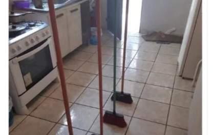 Desafio online: Entenda por que as vassouras ficam de pé