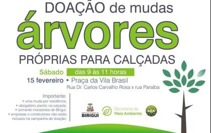 Birigui tem doação de mudas para calçada neste sábado